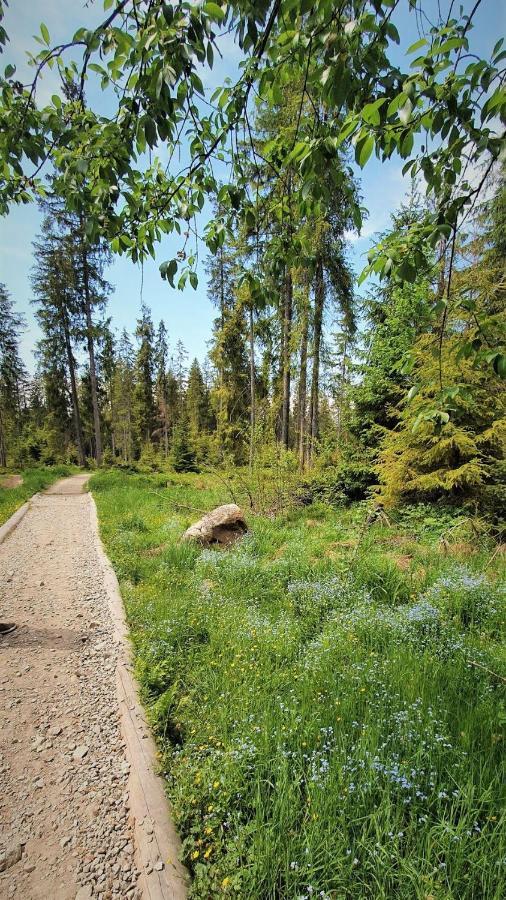 Eco Domek Z Duzym Ogrodem I Widokiem Мужасихле Экстерьер фото